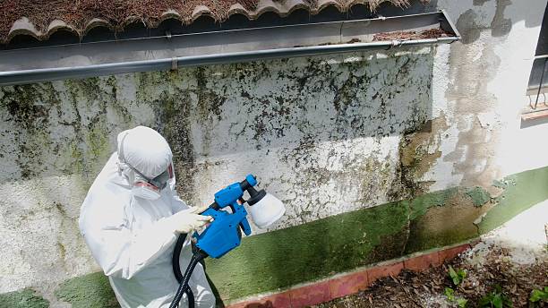 Top rated local Mold Remediation specialists in Warrenton, GA